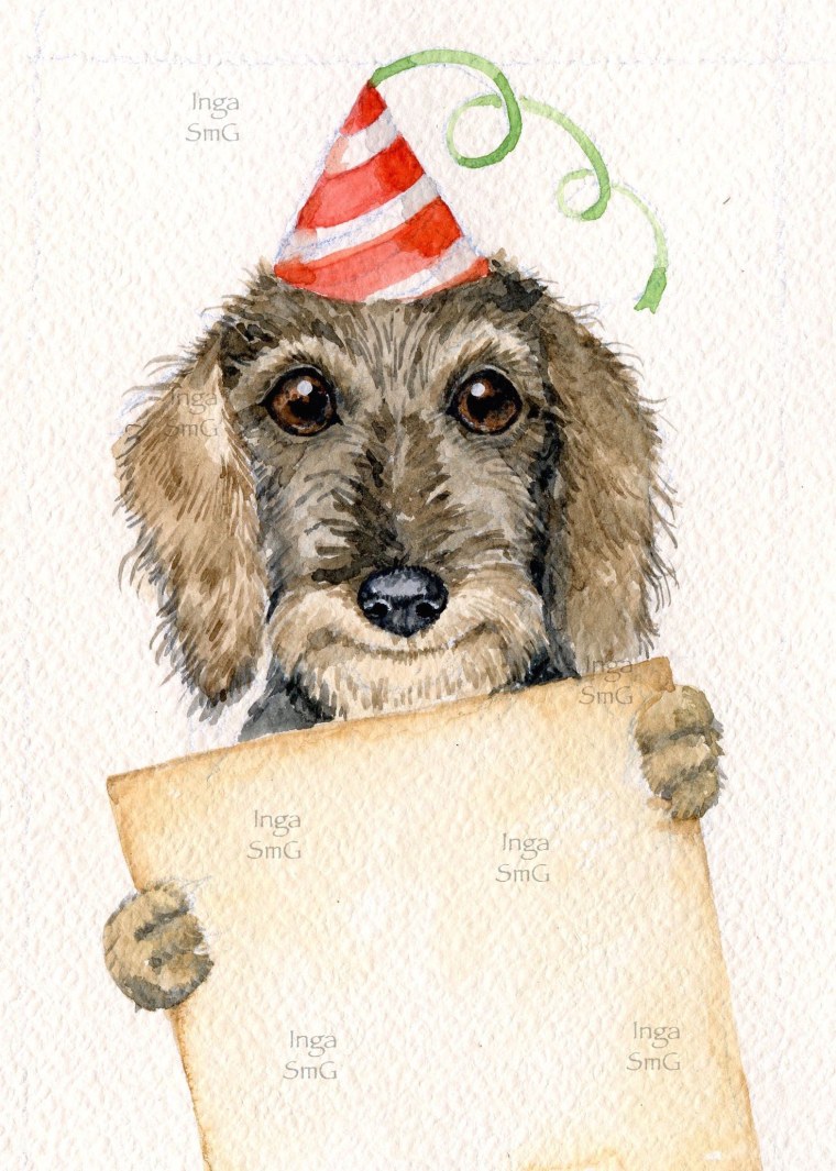 Инга Измайлова иллюстрации собак