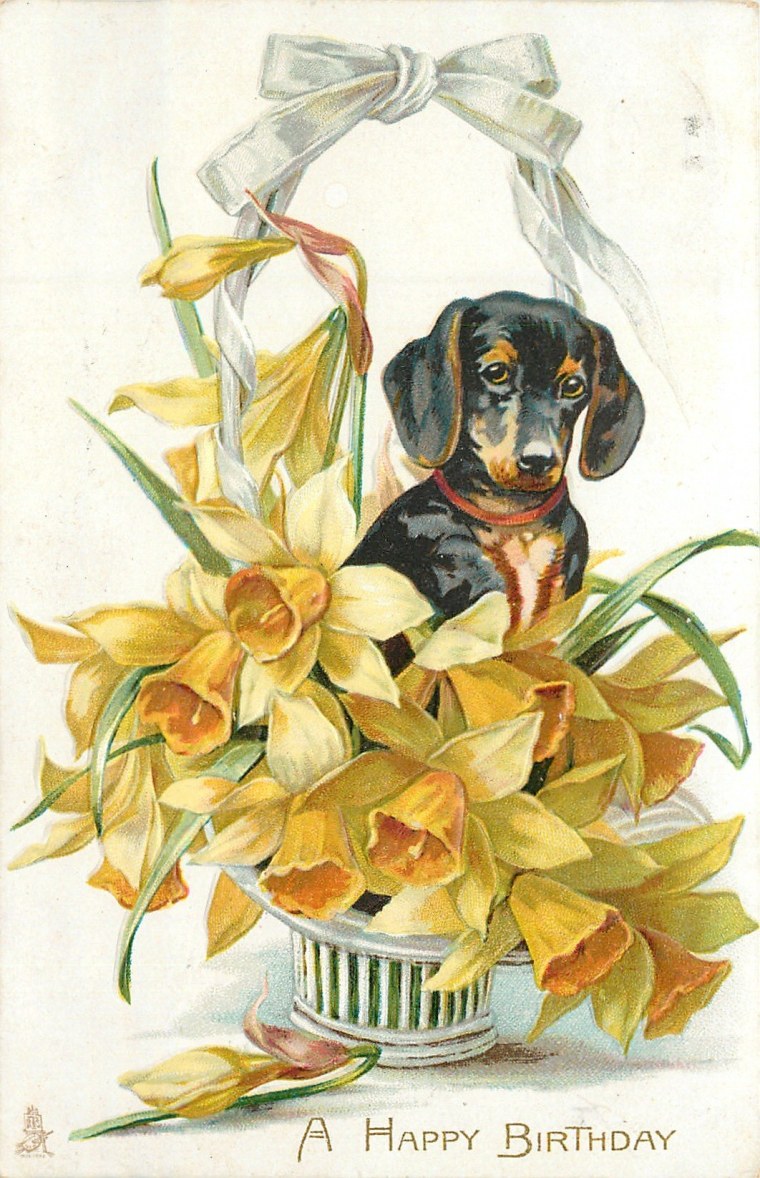 Такса с цветами