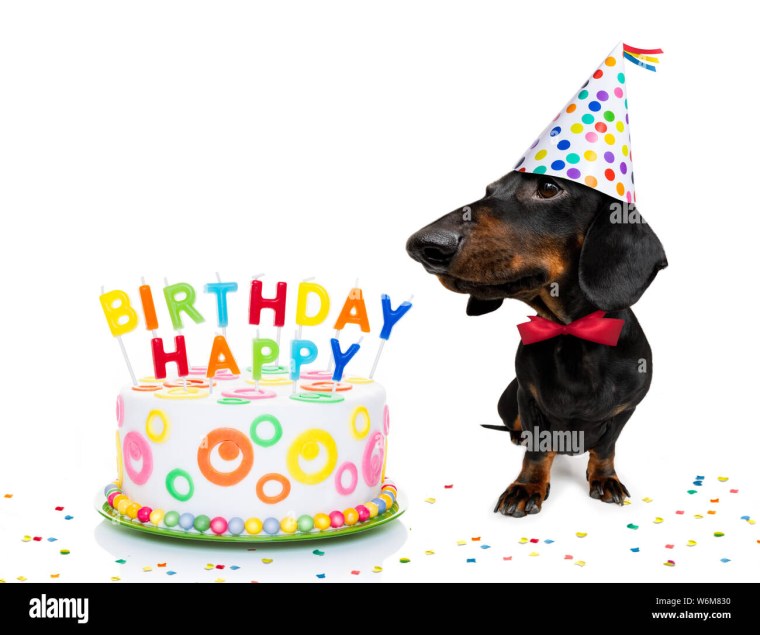 Картинки с днем рождения такса с тортом