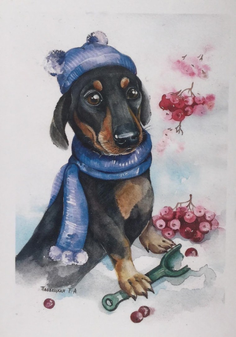 Иллюстрации Татьяна Пловецкая собака