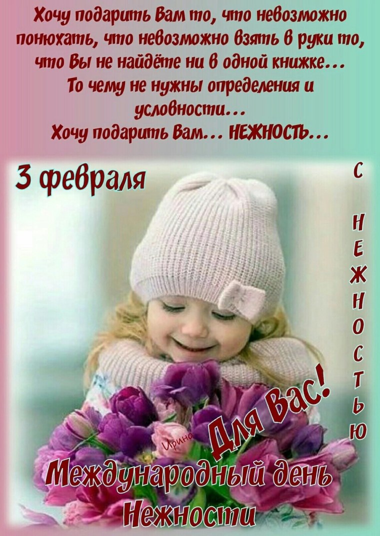 День нежности 3 февраля