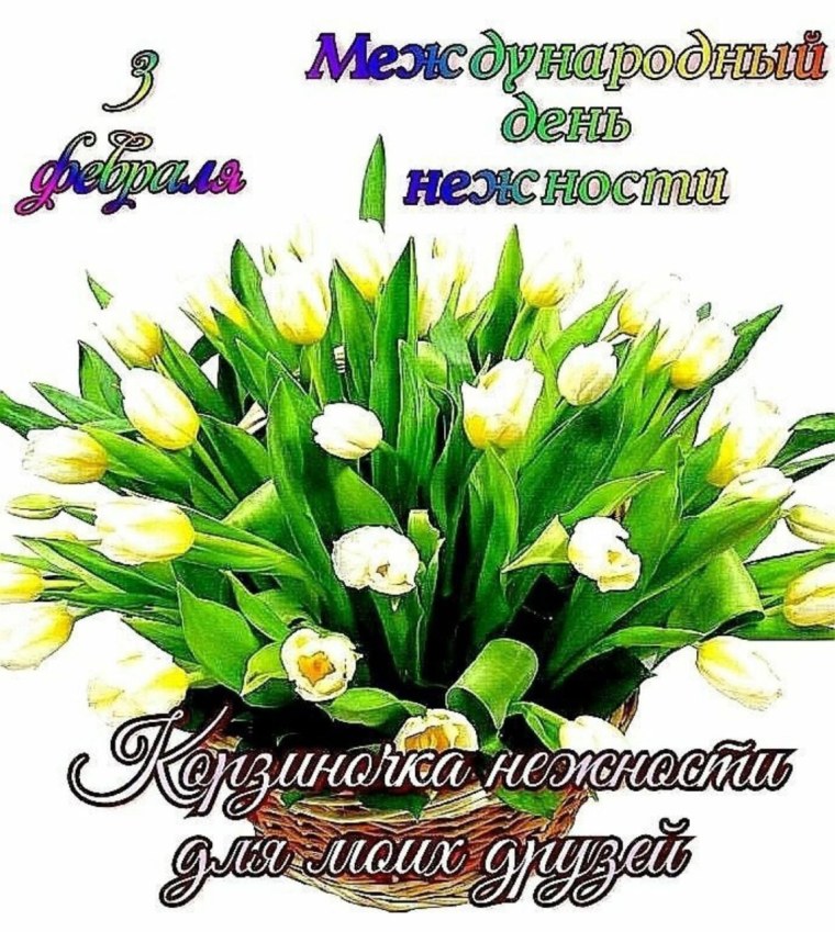 День нежности 3 февраля