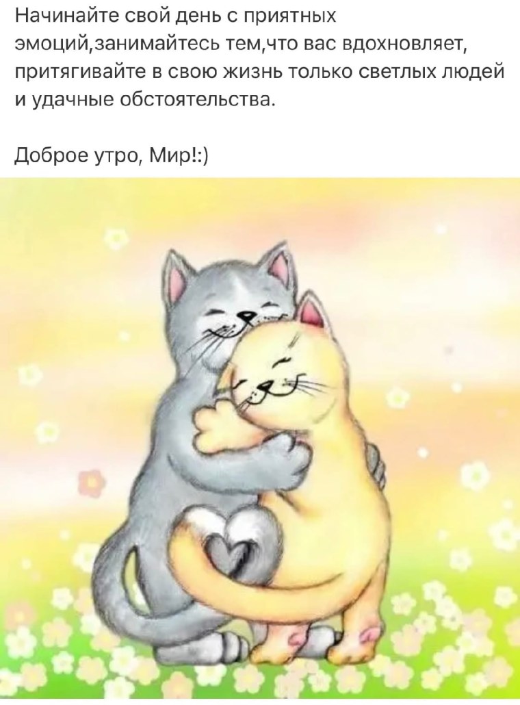 Влюбленные котики