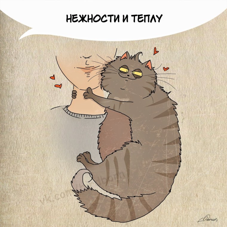 Чему можно научиться у кота