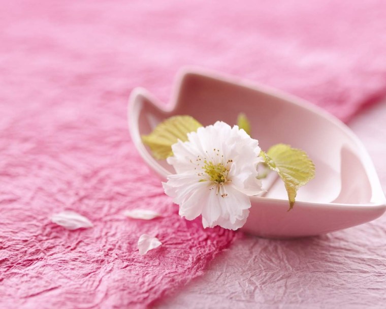 Нежность картинки