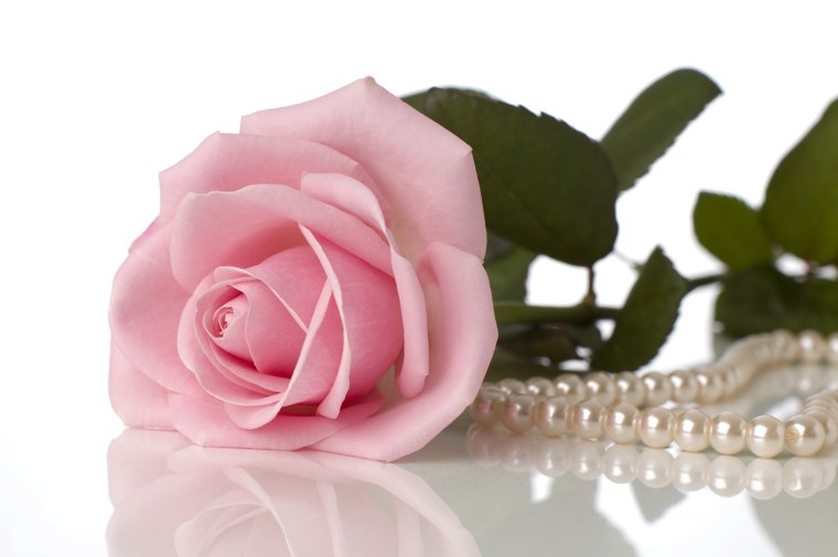 Спасибо жемчуг роза