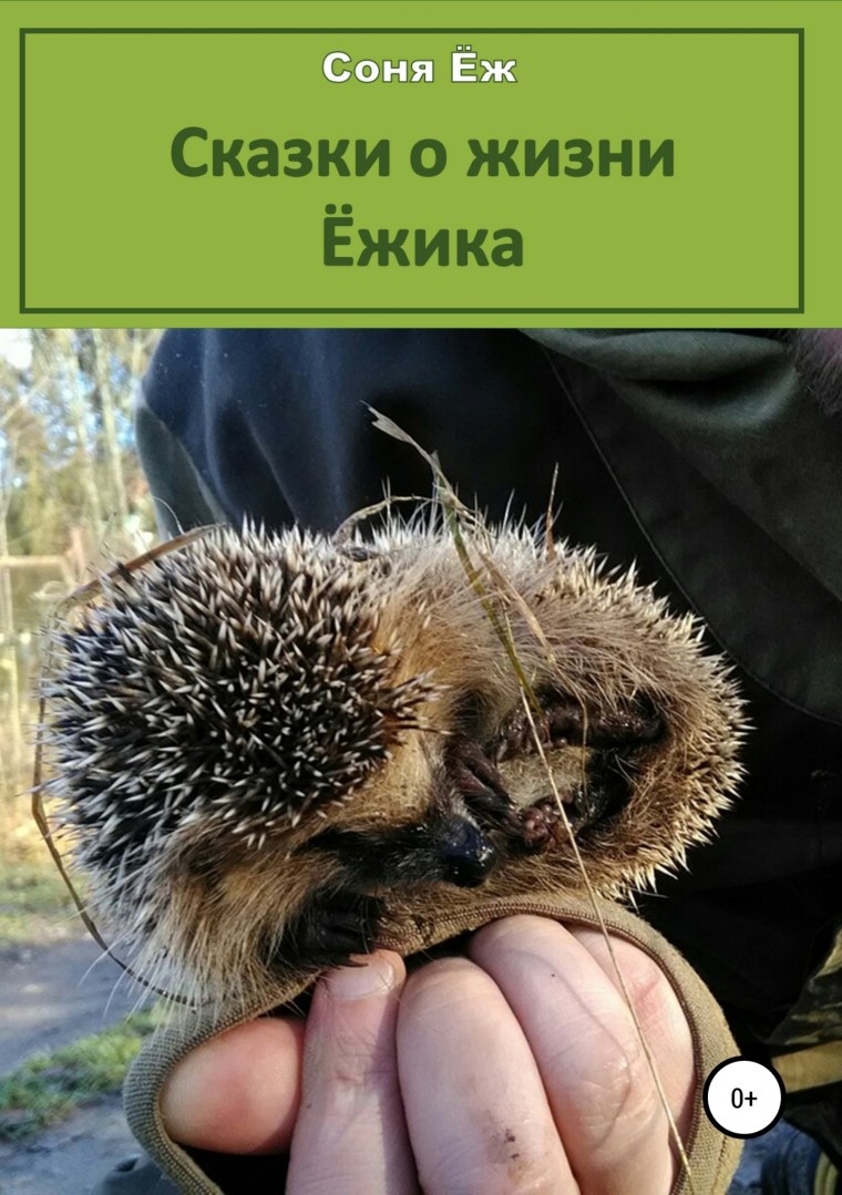 День Ёжика в России