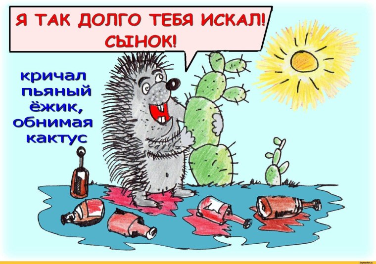 День пьяного ежика 28 ноября