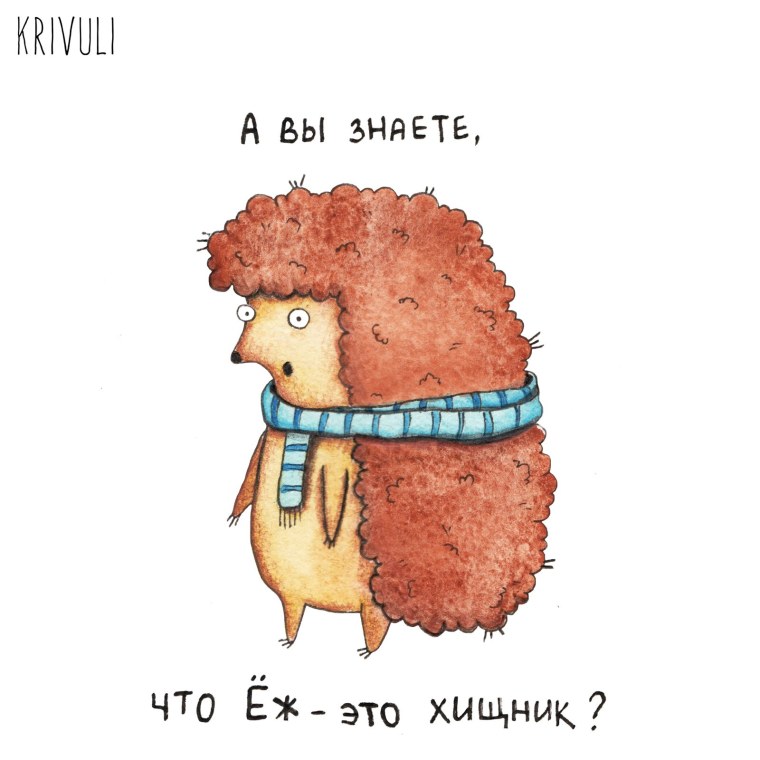 Приколы с ежиками картинки