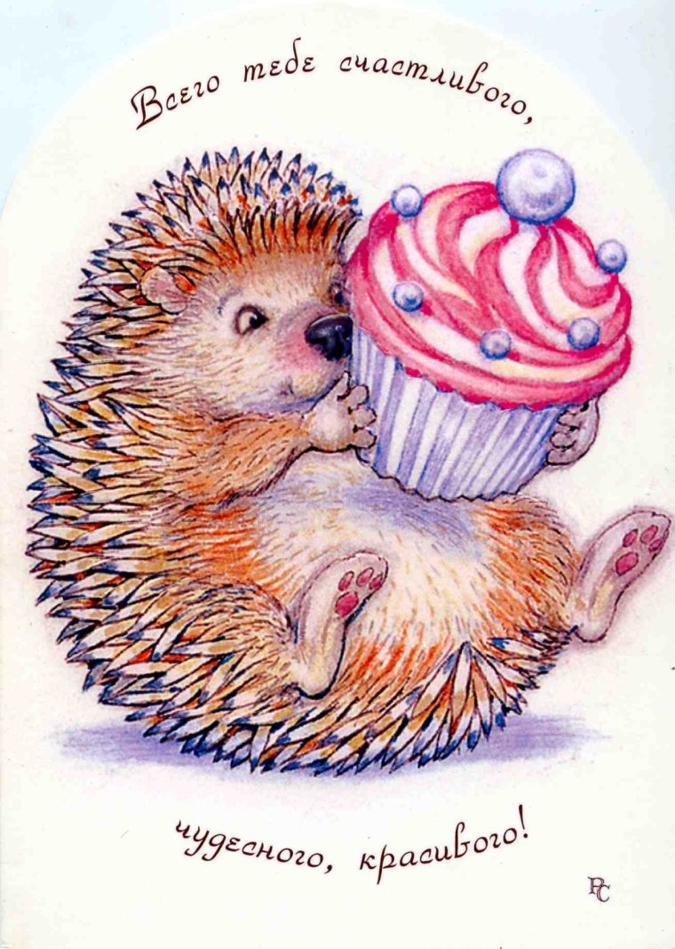С днём рождения с ежиком