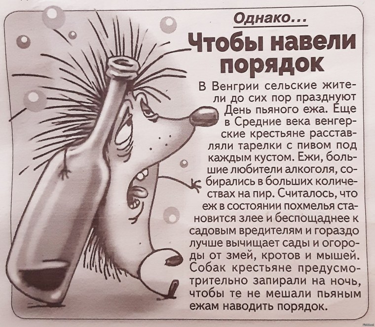 День пьяного ежика Венгрия
