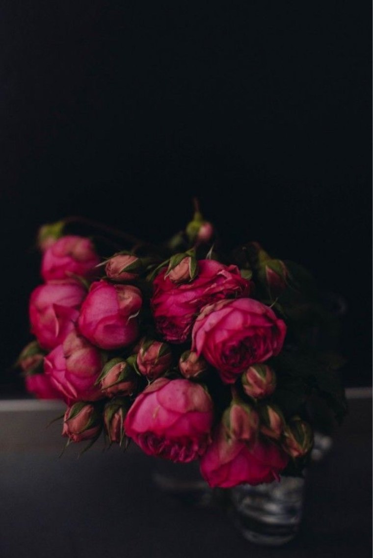 Букет пионов на темном фоне