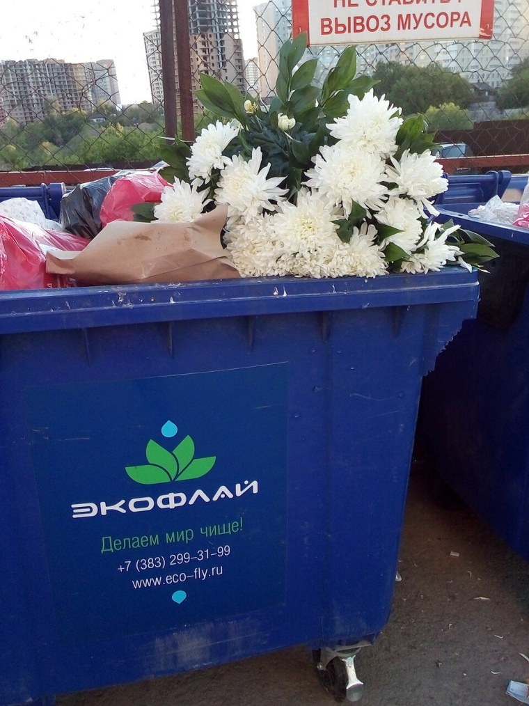 Случайный цветочек среди мусора