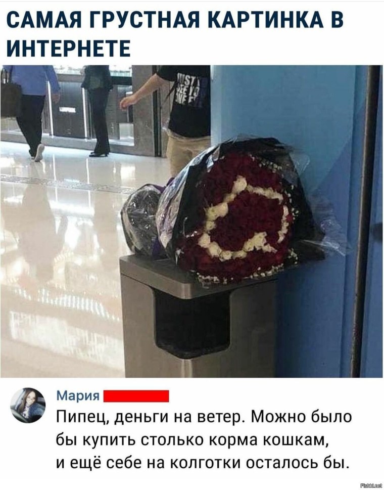Розы в мусорном ведре