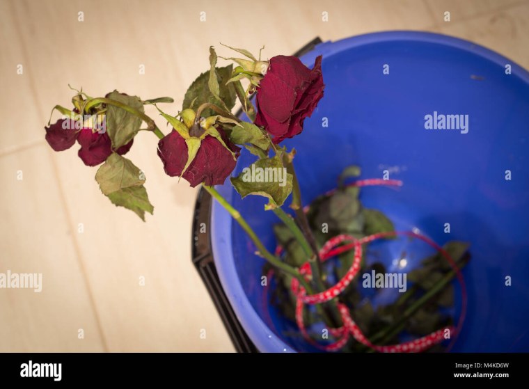 Аватарка роза в мусорном ведре