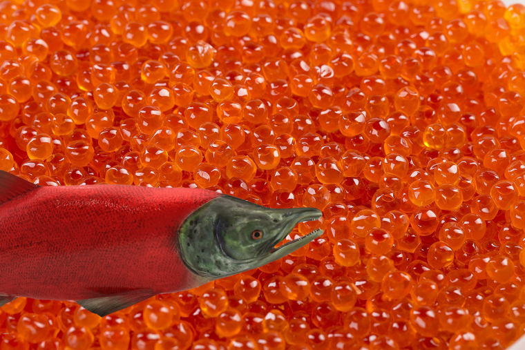 Рыбка икорка