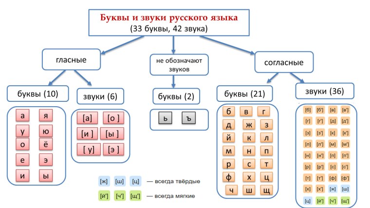 Алфавит гласные и согласные звуки и буквы русского языка