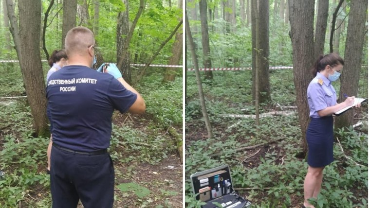 Тела найденные в лесах