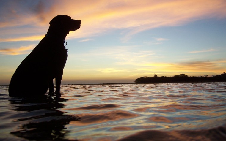 Море лабрадор