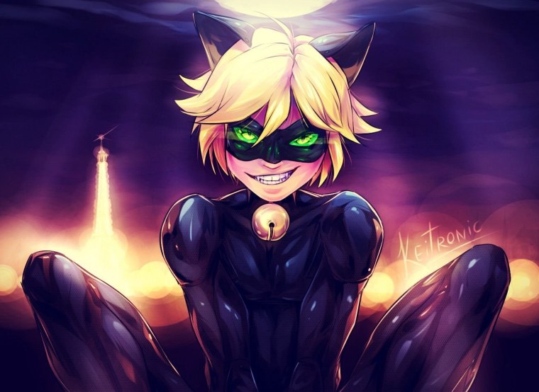 Леди баг и супер кот кот Нуар