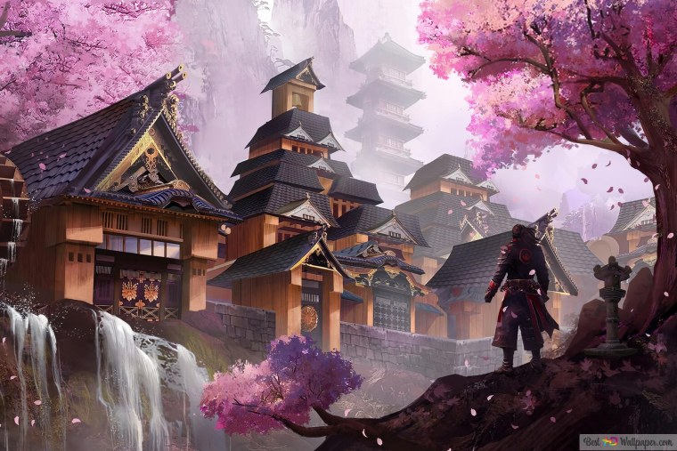 Китай Сакура 4к