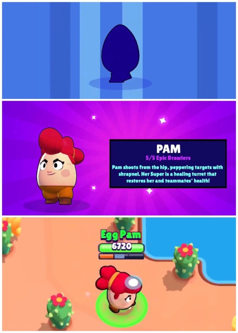 Пэм 2017 БРАВЛ