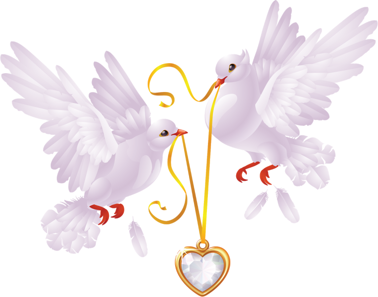 Свадебные голуби на прозрачном фоне