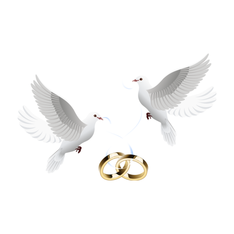 Свадебные голуби