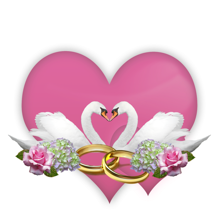 Сердце голубя