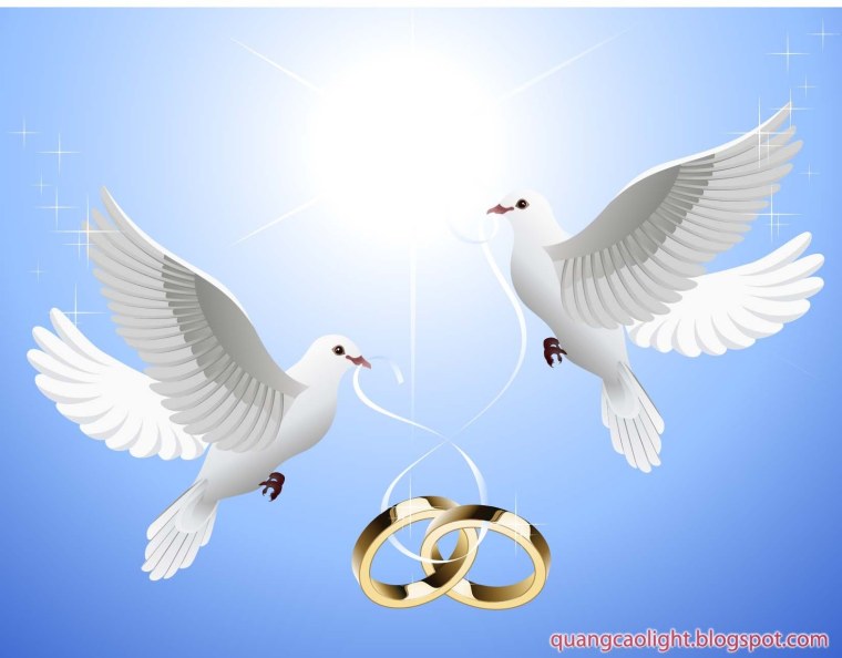 Голубки на свадьбу