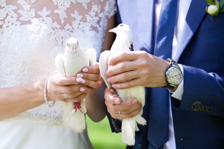 Молодожены с голубями