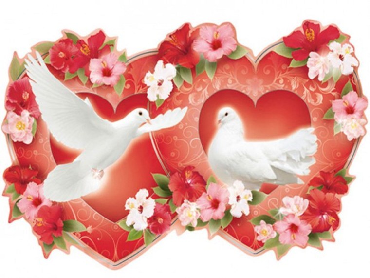 День Святого Валентина голуби