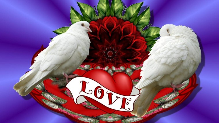 Благословенные голуби