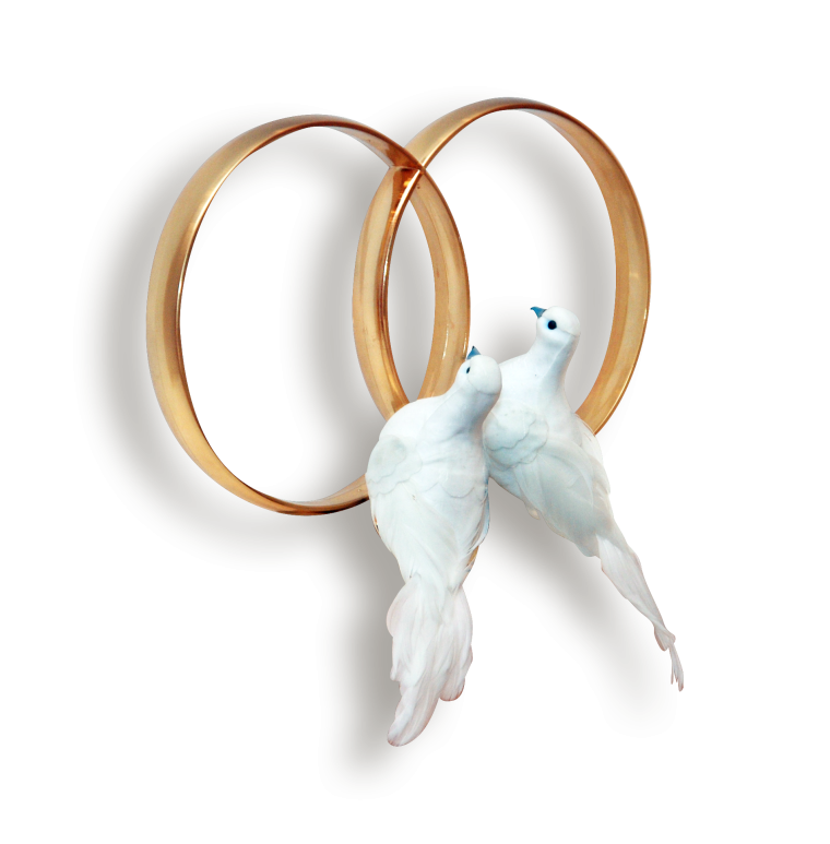 Голуби с кольцами