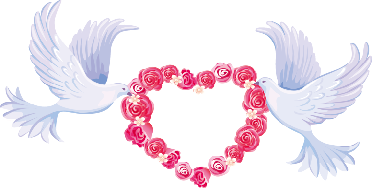 Свадебные голуби на прозрачном фоне