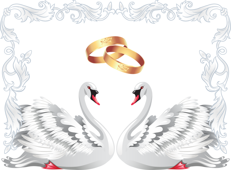 Свадебные кольца и лебеди