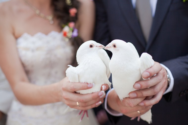 Голуби на свадьбу