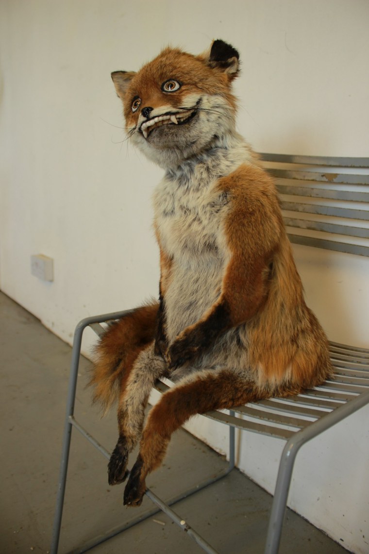 Упоротый Лис 2008