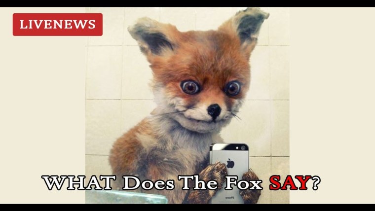 Старая лиса Мем