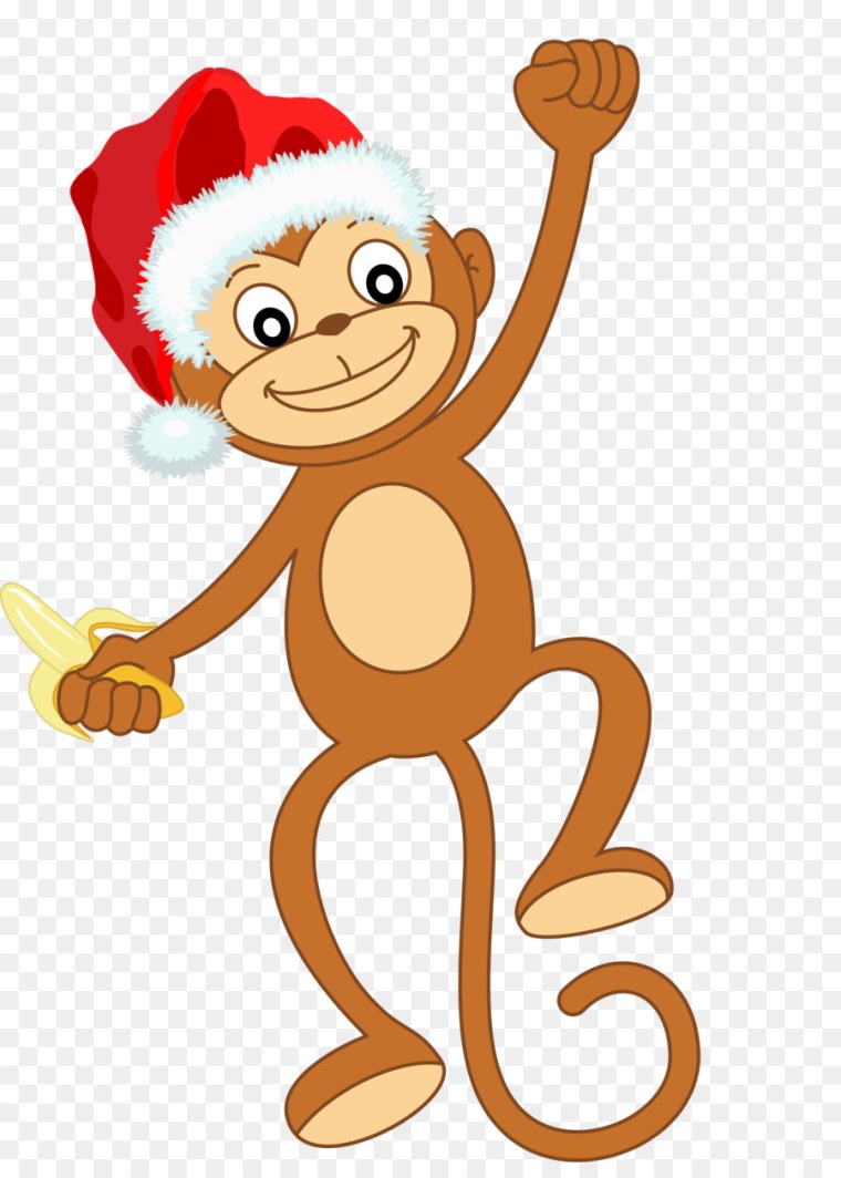 Год обезьяны