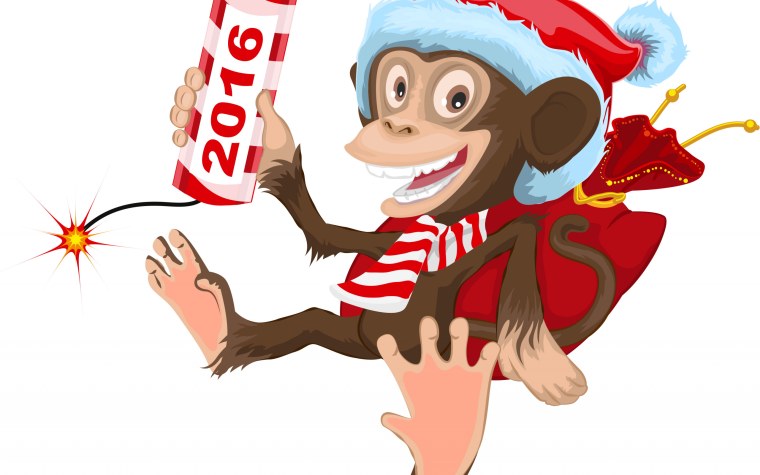 Год обезьяны 2016