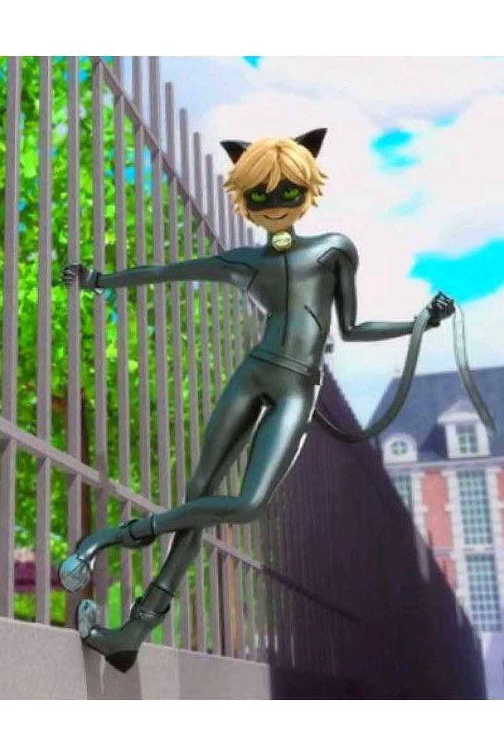 Супер-кот Адриан в полный рост