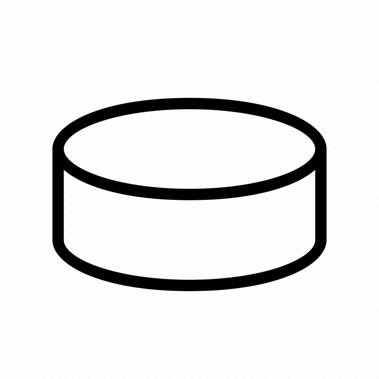 Hockey Puck
