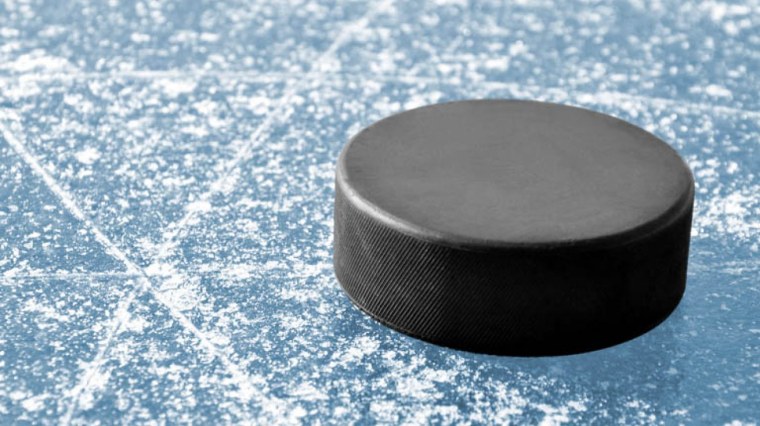 Шайба на льду