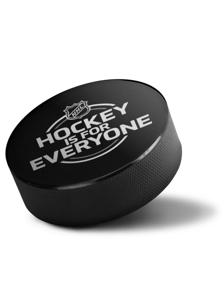 Шайба хоккейная Vegum (черный)