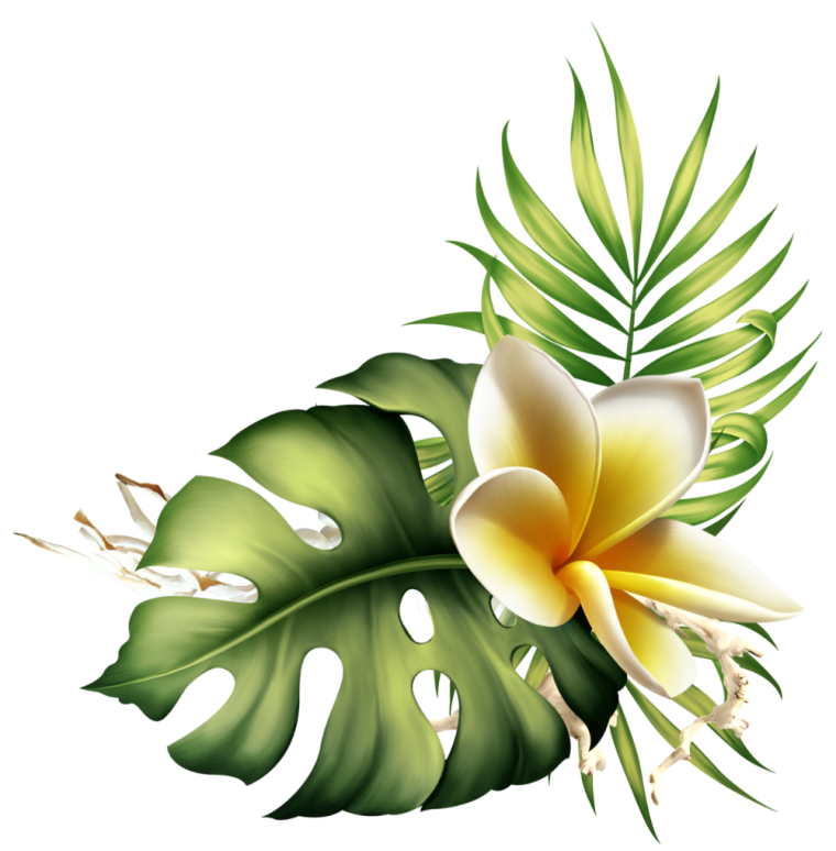 Векторные тропические цветы