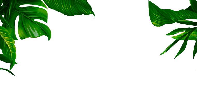 Зеленые листья на белом фоне