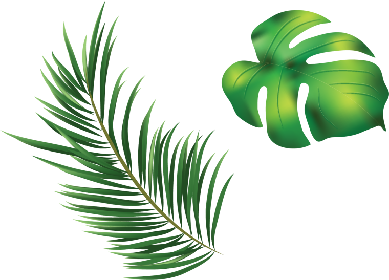 Пальмовые листья вектор