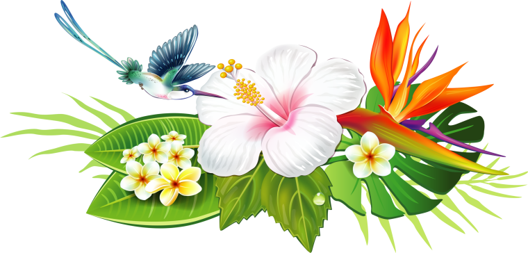 Экзотические цветы на прозрачном фоне