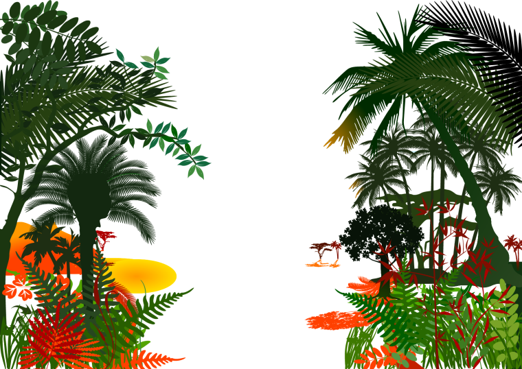 Тропический лес